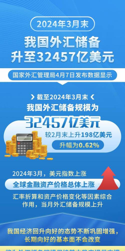 什么是国际储备收益