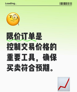 什么是可变限价指令