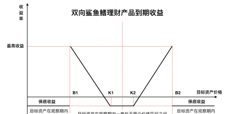什么是跨式委托