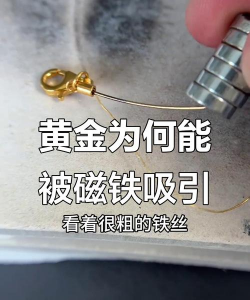 黄金是否会被磁铁吸起来？