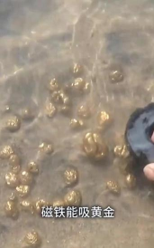 金子有没有磁性？