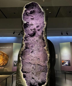 世界上最大的紫宝石？