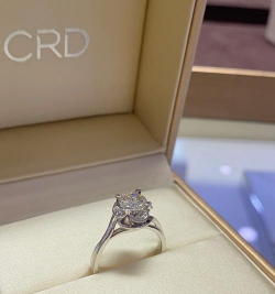 克徕帝花恋和极光哪个好？