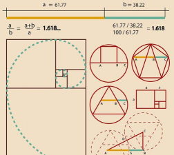 黄金比例怎么算？