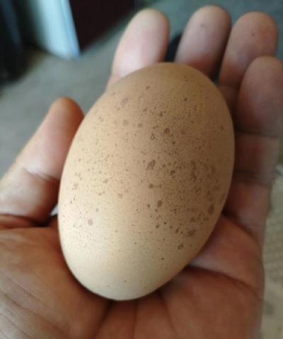 鸡蛋大小黄金有多重？