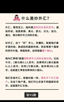 什么叫外汇的项目？