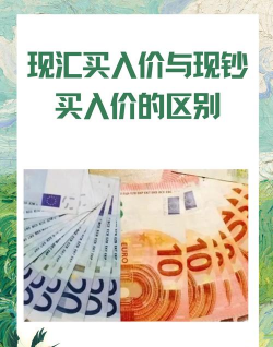 现汇和外汇什么意思？