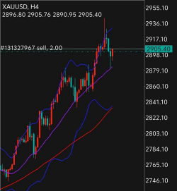 现货黄金4040附近盘整