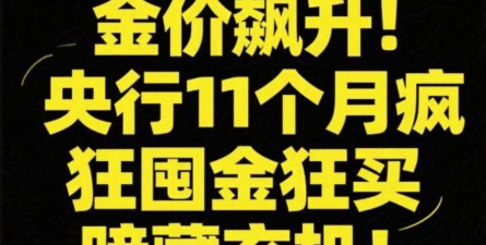 央行购金潮暗藏玄机