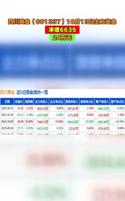 四川黄金股票10月13日主力资金净流入6635.24万元