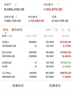 西部黄金股票10月16日主力资金净流出1.72亿元