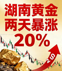 湖南黄金股票今日股价：10月27日收盘下跌2.30%