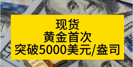 现货黄金高位喘息待突破