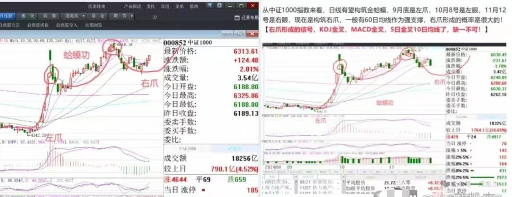 11月7日金市晚评：