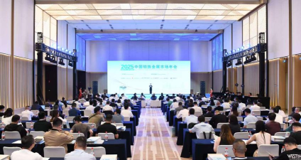 铂族金属会议临近