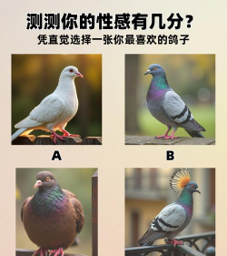 鹰鸽之争加剧不确定性