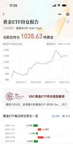 【黄金etf持仓量】11月10日黄金ETF较上一交易日持平