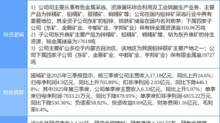 11月13日国城矿业股票走强