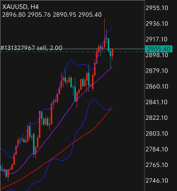 2025年11月14日现货黄金晚盘行情预测