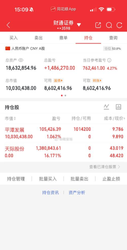 西部黄金股票11月17日主力资金净流出6478.20万元