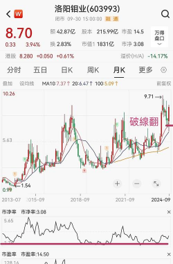 今日洛阳钼业股票行情(2025年11月18日)