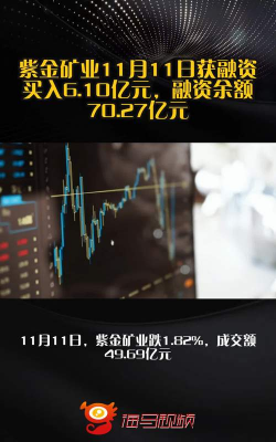 11月18日紫金矿业股票融资净买入2136.20万元