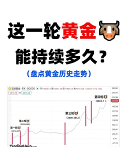 黄金回调是牛市前奏？