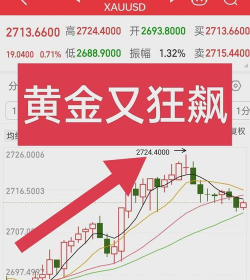 2025年06月19日潮宏基黄金涨跌幅
