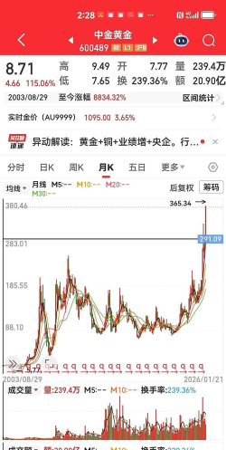 中金黄金股票11月24日主力资金净流出3442.81万元