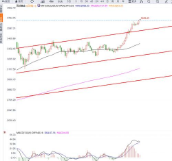 11月26日金市早评：降息预期与地缘缓和角力