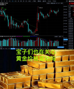 11月25日西部黄金股票走强