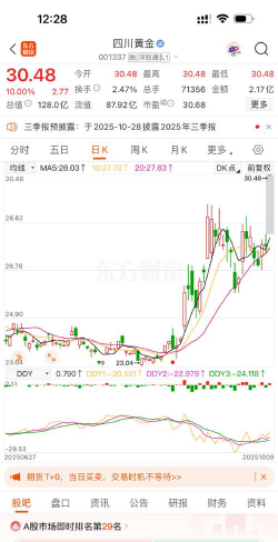 11月27日四川黄金股票走强