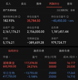 湖南黄金股票今日股价：11月27日收盘下跌0.95%