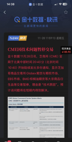 CME技术故障扰动金市