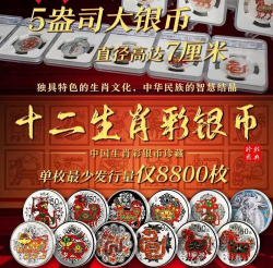 5盎司生肖彩银币价格（2025年12月1日）