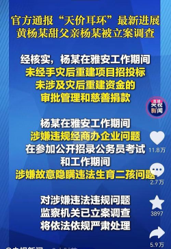 ‌欧央行施压意大利重审黄金提案