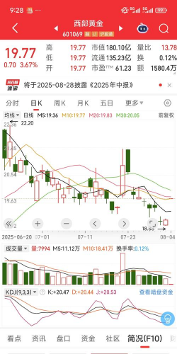 西部黄金股票12月5日主力资金净流入1971.65万元