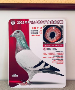 JOLTS数据添鸽派信号沪金获撑960