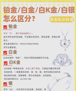 2025年12月18日莱音珠宝黄金铂金多少元一克
