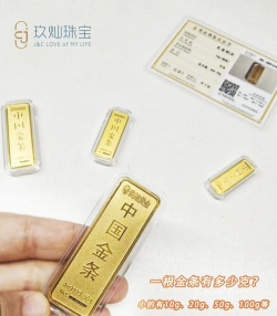 金条与金币哪种更适合长期投资？