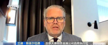 黄金定投和一次性买入哪个收益高?