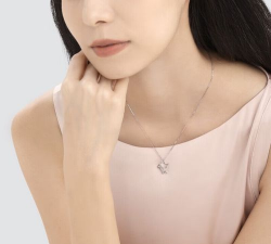 2025年12月29日周生生铂金最新价格多少一克