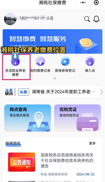 灵活就业人员社会保险费是什么意思