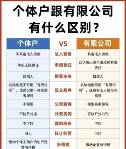 个体户什么意思