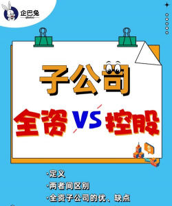 全资控股什么意思