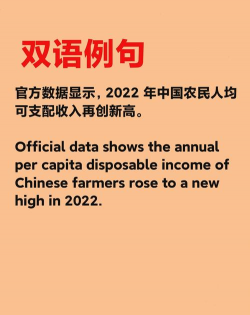 可支配收入是什么