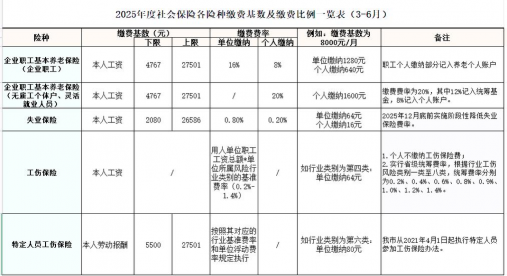 缴费基数什么意思