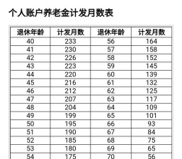 职业年金是什么意思