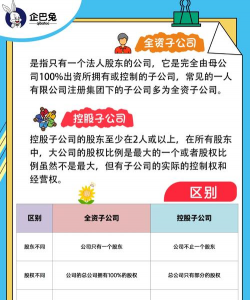 全资子公司是什么意思