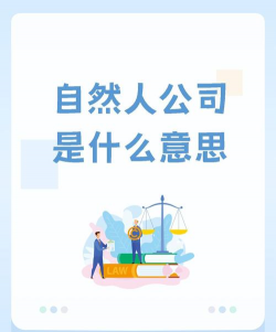 非自然人什么意思